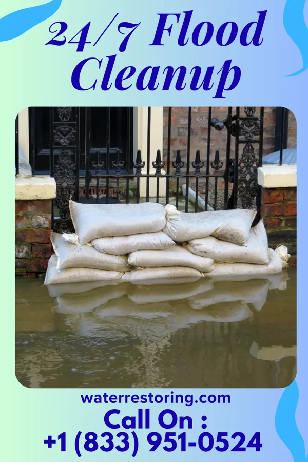 24/7 Flood Cleanup in Twin Lakes, NM