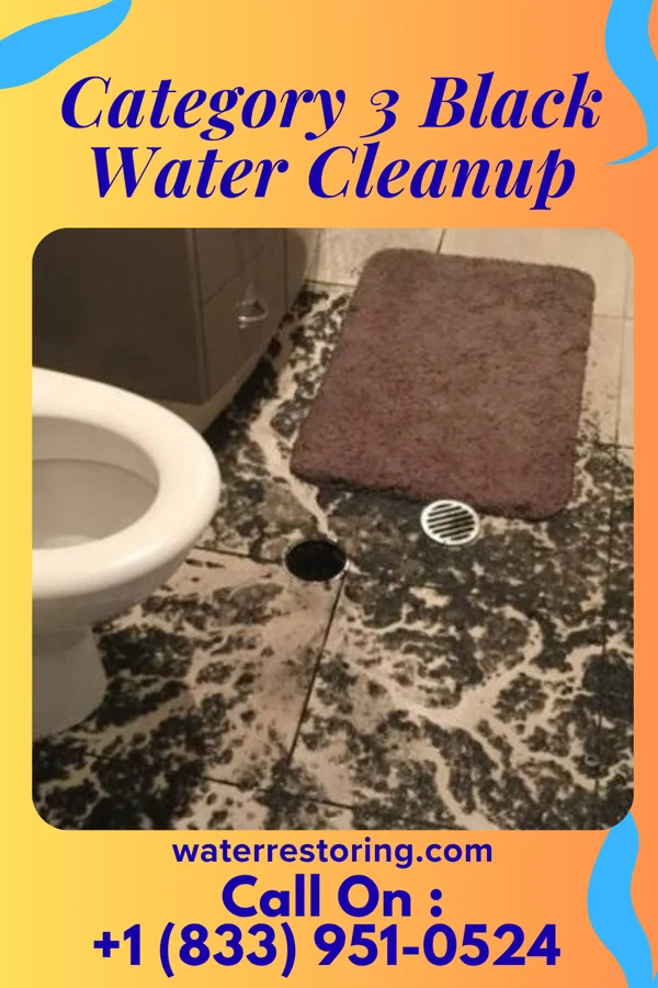 Category 3 Black Water Cleanup in Twin Lakes, NM