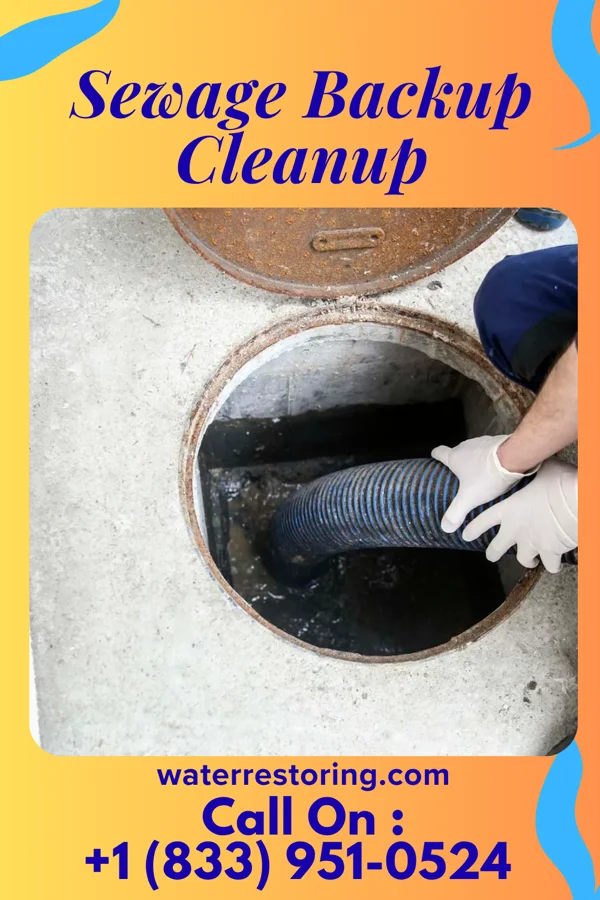 Sewage Backup Cleanup in Twin Lakes, NM