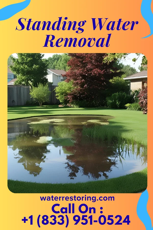 Standing Water Removal in Twin Lakes, NM